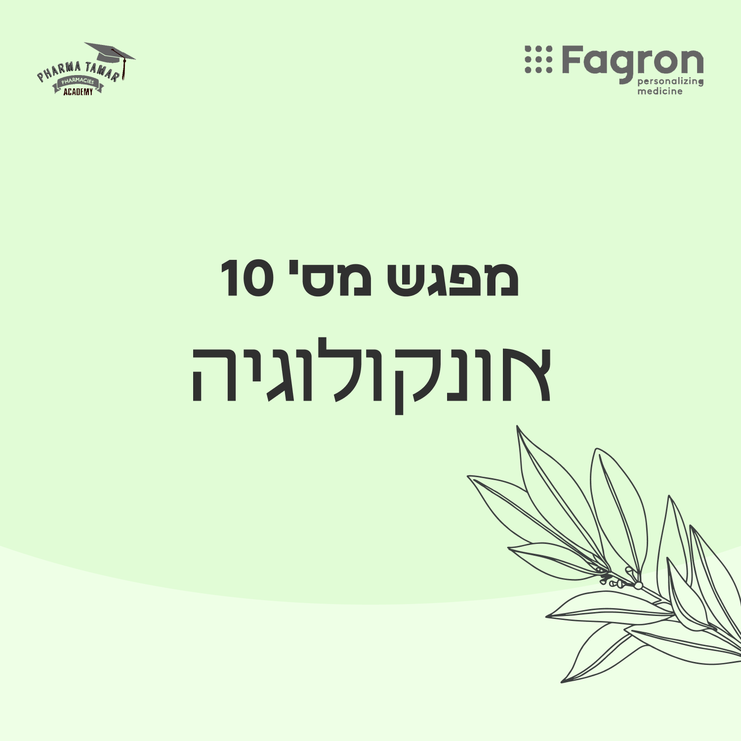 מפגש 10