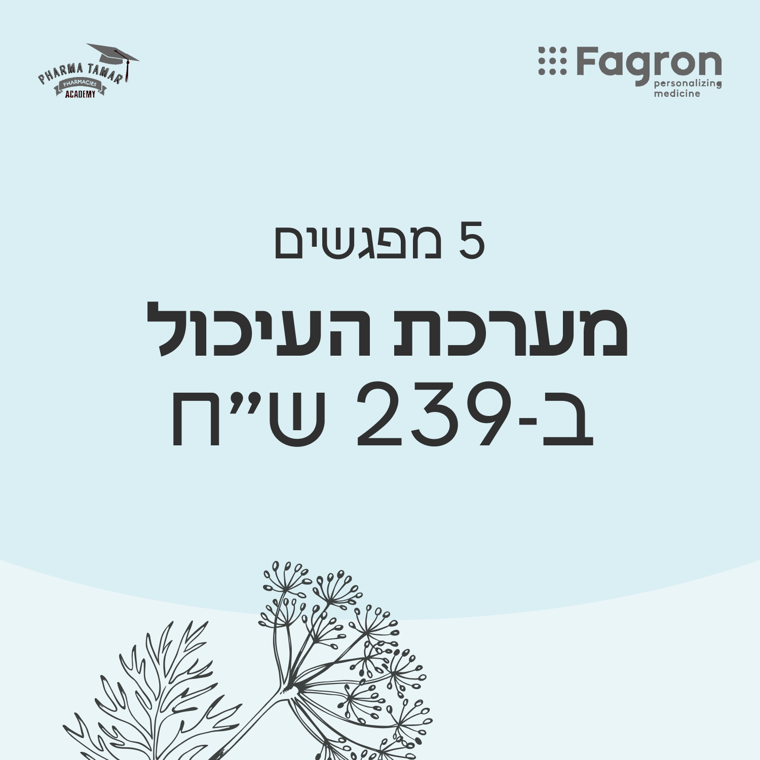 מפגש 2
