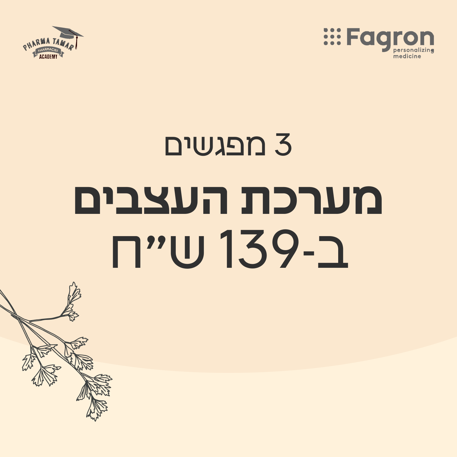 מפגש 3