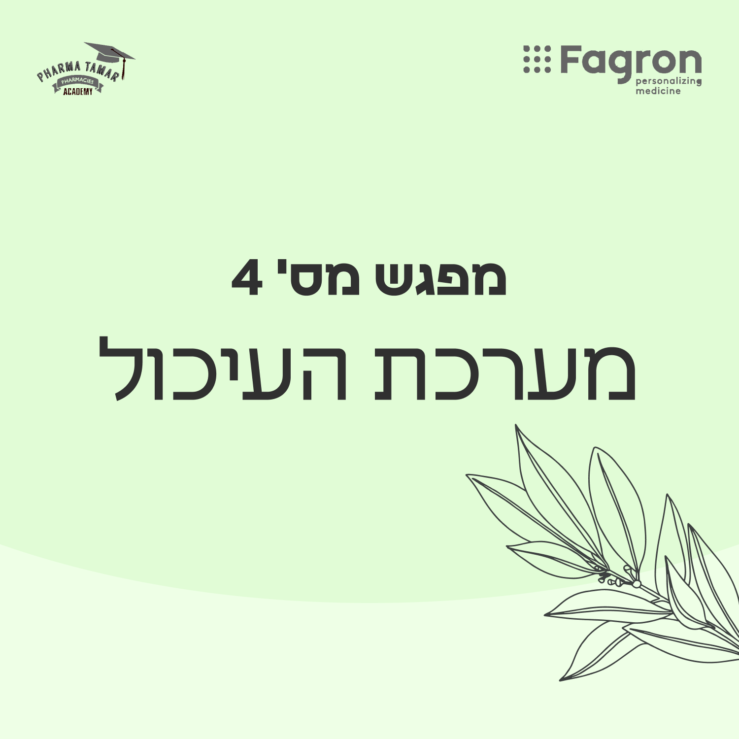 מפגש 4 (1)