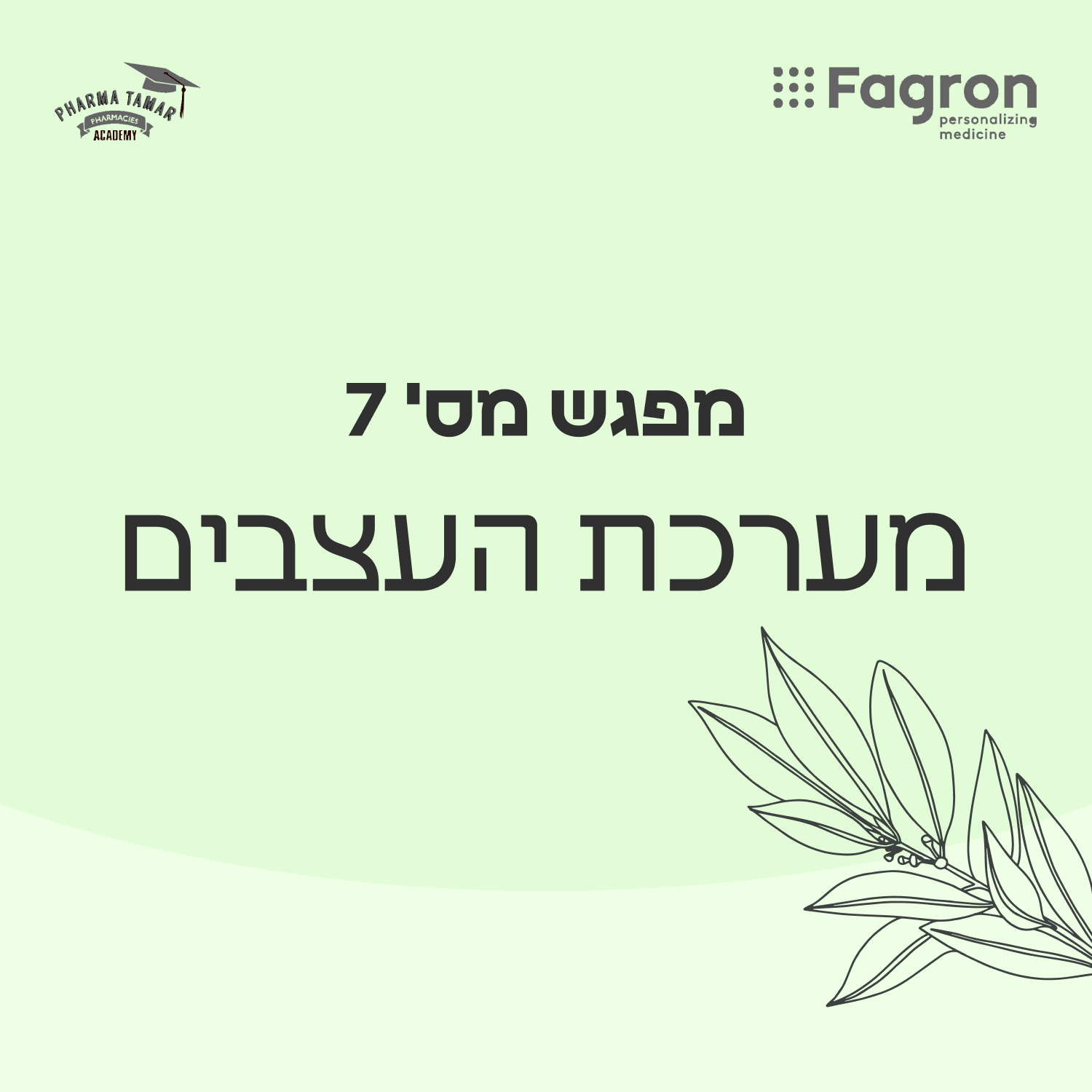 מפגש 7