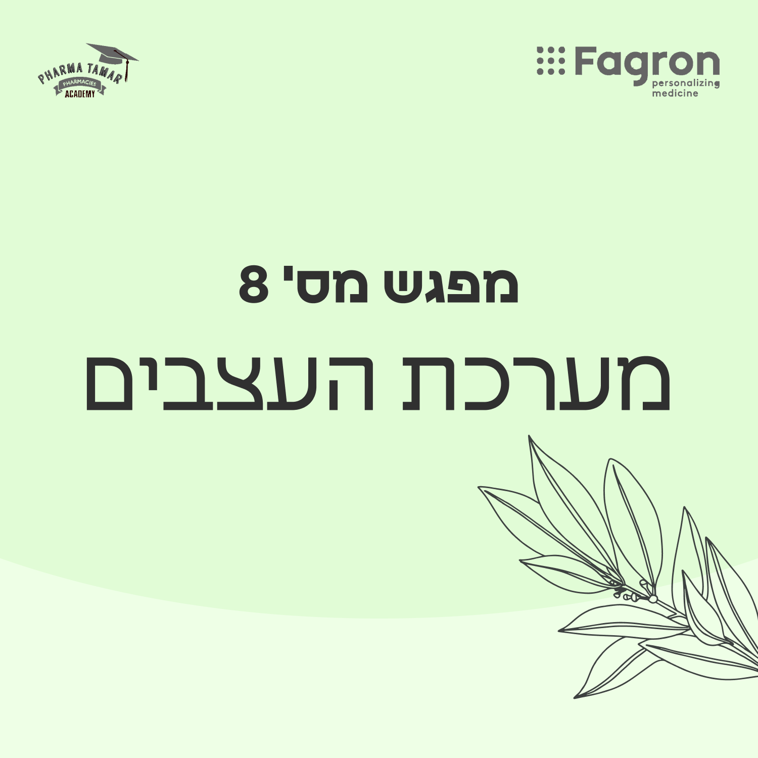 מפגש 8