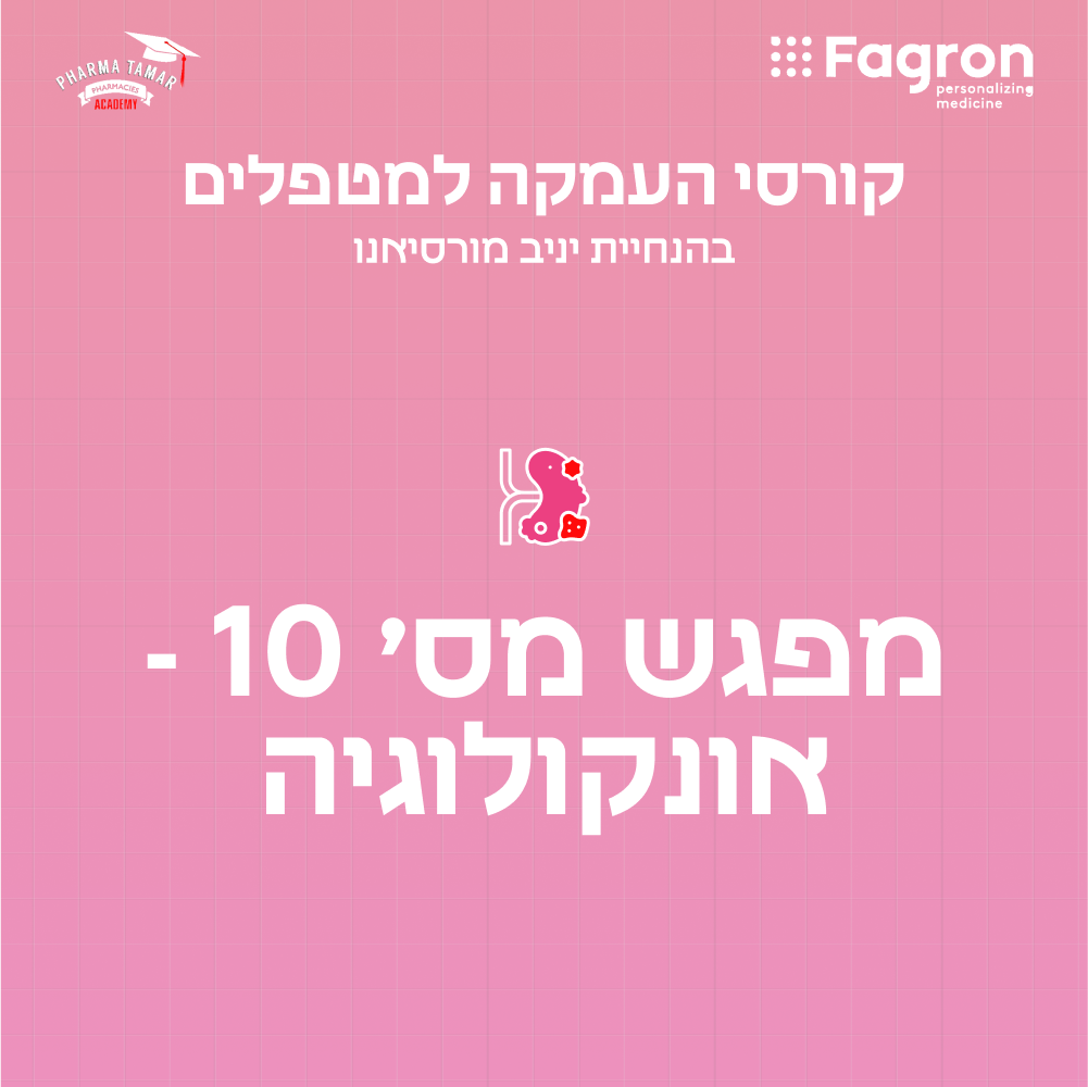 מפגש 10