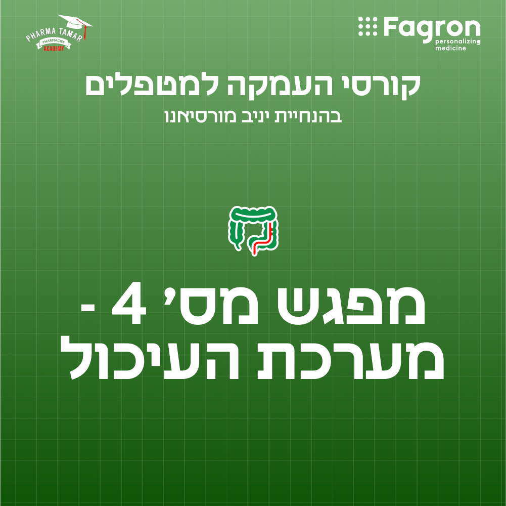 מפגש 4