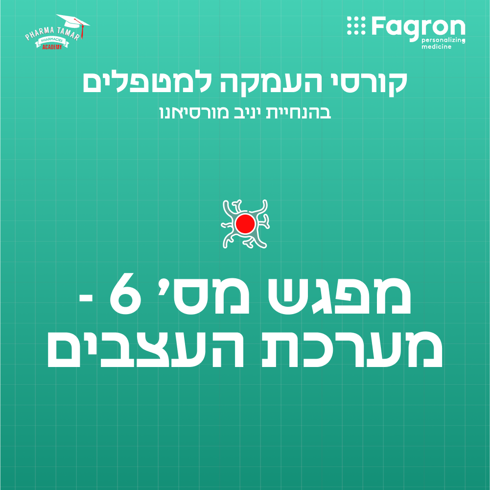 מפגש 6