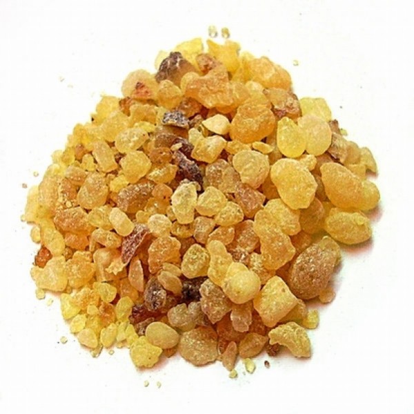 Boswellia spp. Boswellia spp.