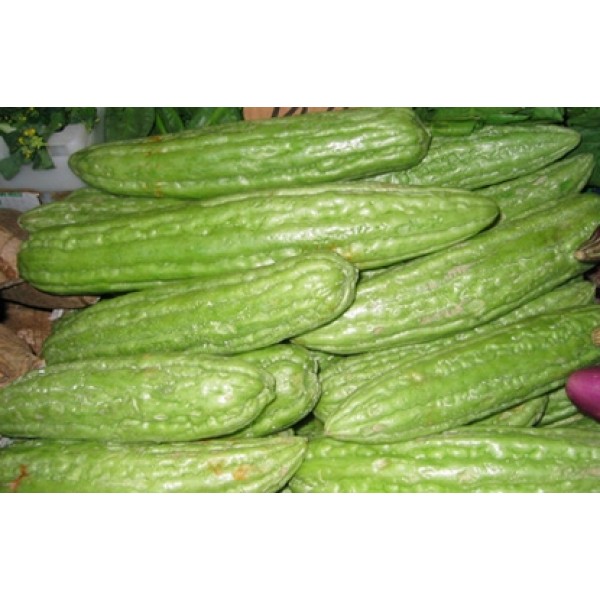 Momordica charantia Momordica charantia