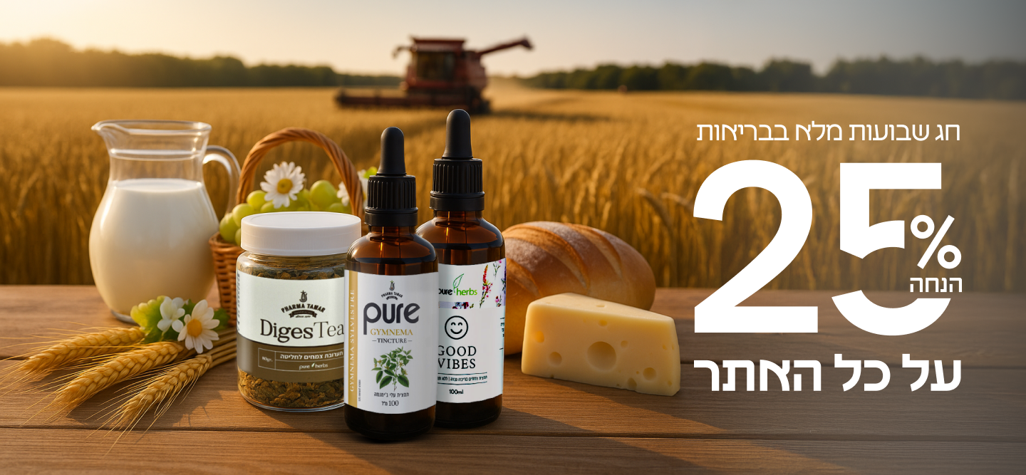 דסקטופ של ההנחה 1