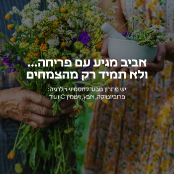 ערב פסח בפתח, והאביב כבר כאן – זמן להתחדשות טבעית🪻
בפארמה תמר תמצאו פתרון טבעי לעונת האלרגיות:
ויטמין C, אבץ, פרוביוטיקה ועוד.

חג אביב שמח, בריא, וכשר