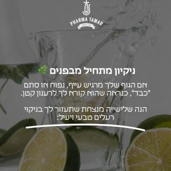 מרגישים קצת כבדים? זו לא סתם תחושה🫣
הגוף שלכם אולי מאותת שצריך רענון קטן.
עם כורכום, פסיליום וחליטה טובה –
הפורמולות של פארמה תמר תומכות בסדר עדין, טבעי ויעיל בגוף.