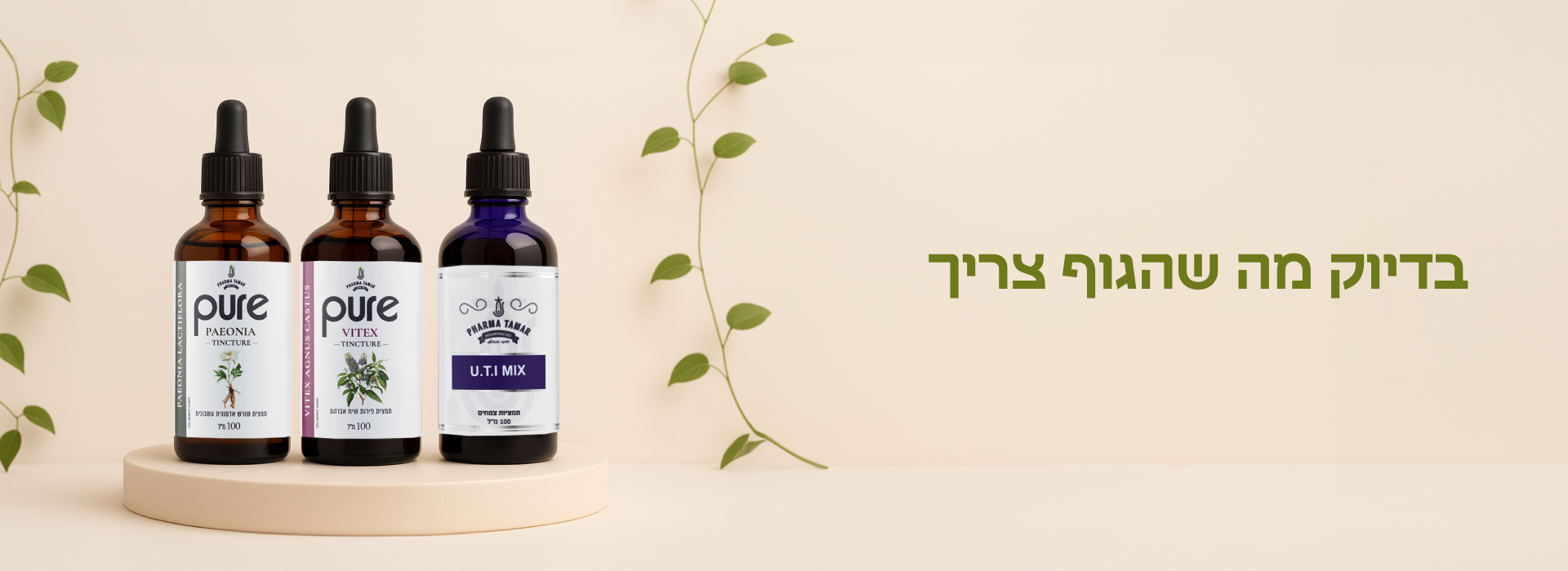 דסקטופ2