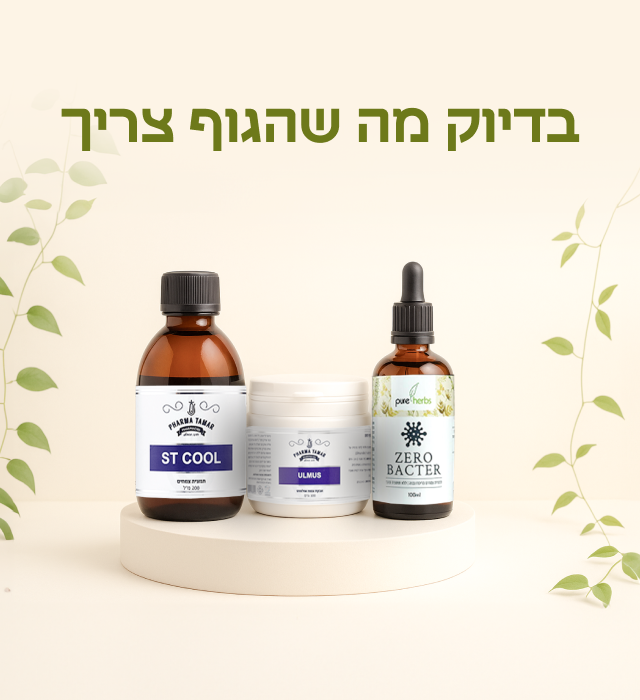 מובייל1