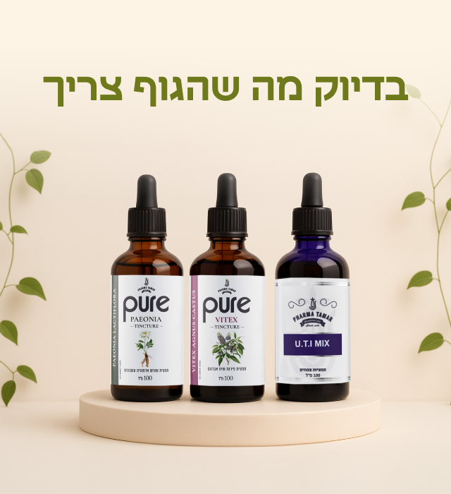 מובייל2