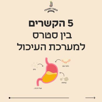 סטרס והבטן שלנו – זה לא רק תחושת בטן

בישראל של היום, סטרס הוא לא רק בראש. הוא מורגש היטב גם במערכת העיכול – גזים, נפיחויות, כאבי בטן, עייפות ואפילו ירידה בספיגת ויטמינים.

הקשר בין המוח לבטן מוכח – כשלחוץ לנו, הגוף כולו מגיב.

בפארמה תמר פיתחנו מוצרים טבעיים שמחזירים לגוף איזון – גם כשמסביב הכול סוער.
למשל:
	•	Bitter Tonic – לאיזון מערכת העיכול
	•	DigesTea – חליטה שמרגיעה את הבטן
	•	Burn Off – תערובת צמחים שעוזרת לגוף להשתחרר מהמתח

הגוף מבקש עצירה. זה הזמן להקשיב לו.

https://pharma-tamar.com

#פארמהתמר #בריאותטבעית #לחץנפשי #סטרס #מערכתהעיכול #חזרהלשגרה