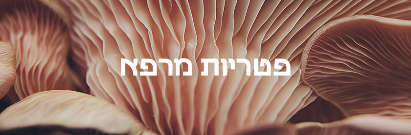דסקטופ פטריות 1