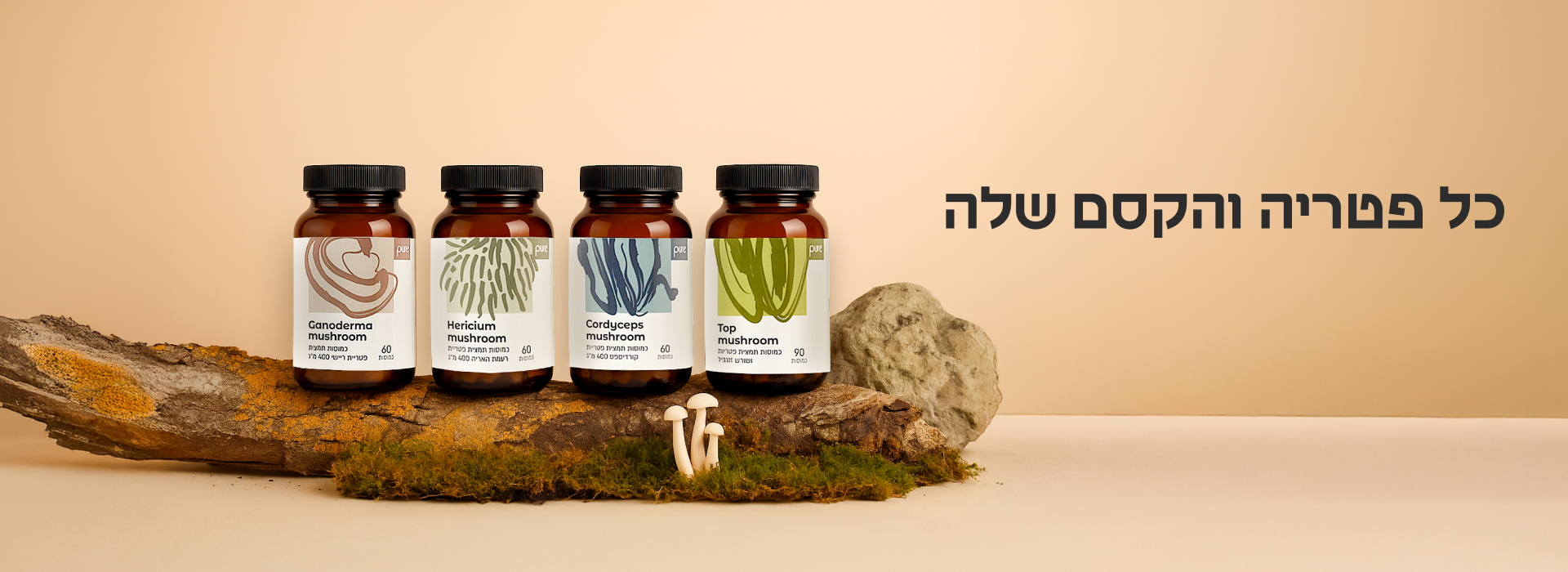 דסקטופ פטריות 2