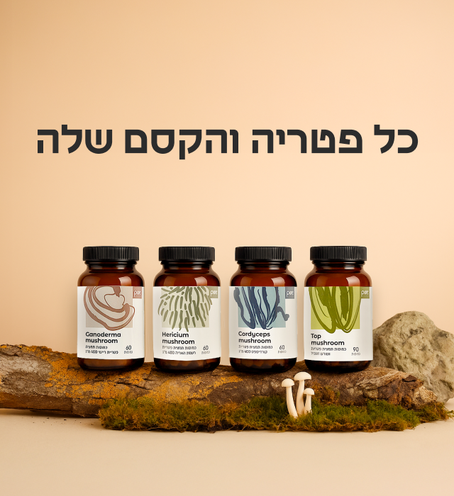 מובייל פטריות 2