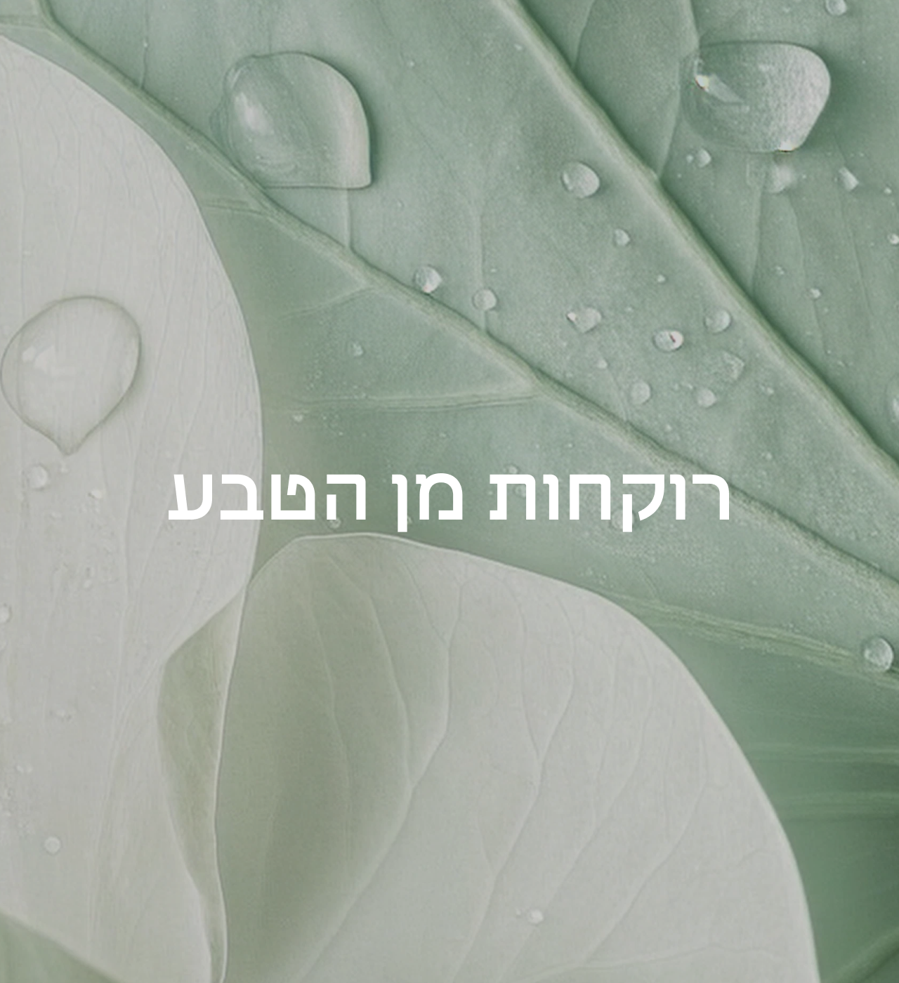 רוקחות מן הטבע עלים מובייל