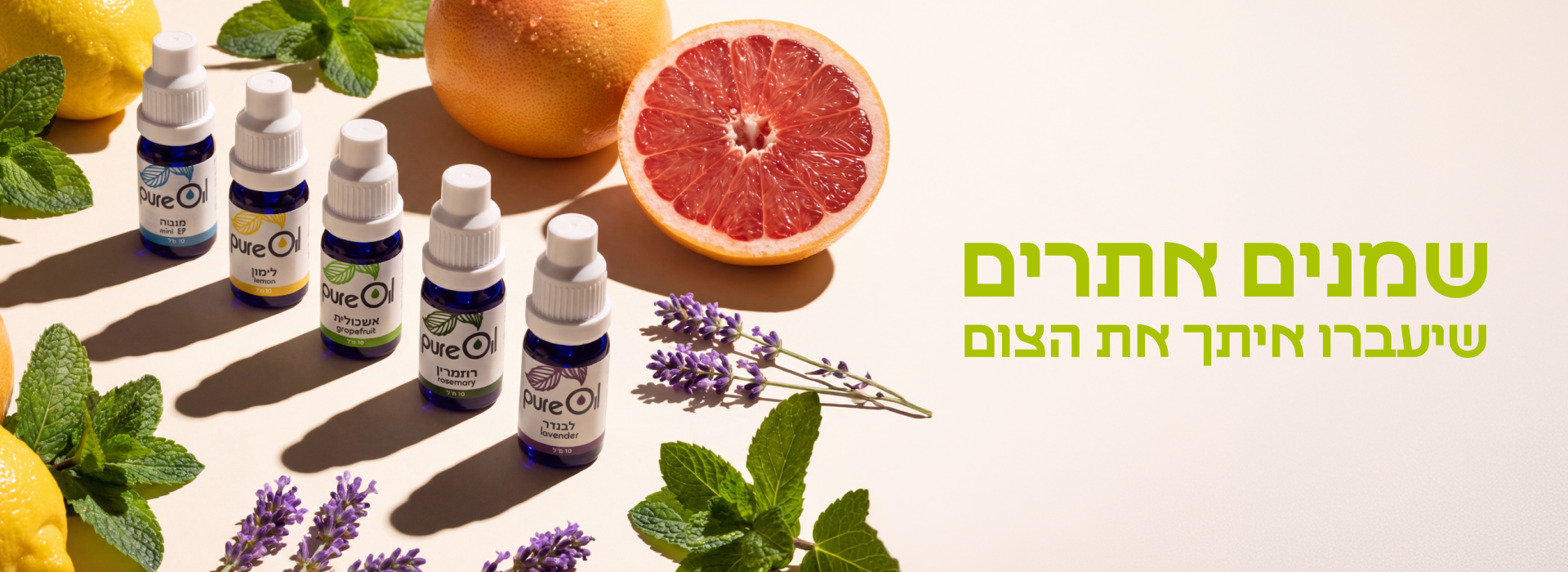 דסקטופ (5)